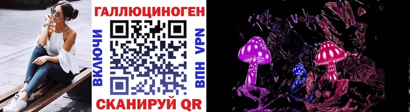 где можно купить   Яблоновский  Галлюциногенные грибы мухоморы 